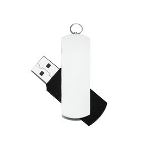 pen drive 010